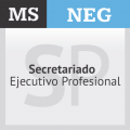Secretariado Ejecutivo Profesional