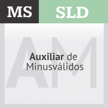 Auxiliar de Minusválidos